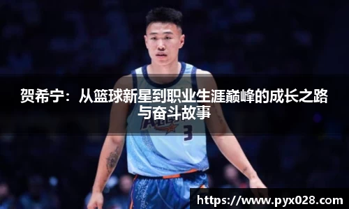 贺希宁：从篮球新星到职业生涯巅峰的成长之路与奋斗故事